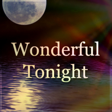 2011.09.15 Wonderful Tonight產品圖