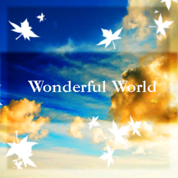 2011.09.27 Wonderful World產品圖