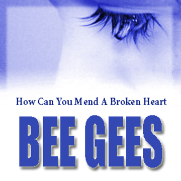 2011.10.10 How Can You Mend A Broken Heart產品圖