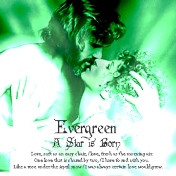 2011.11.05 Evergreen產品圖